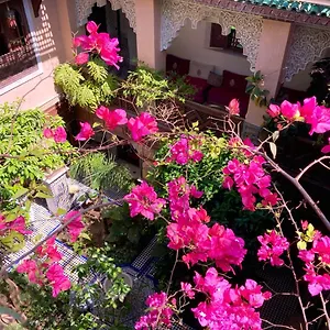 Riad Toyour- Of Birds, Fès